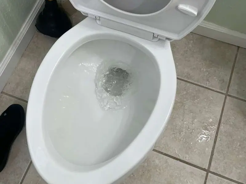 Gallery Thumbnail 21